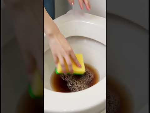 コカ・コーラとスポンジを使って便器を完璧に掃除しましょう #Shorts