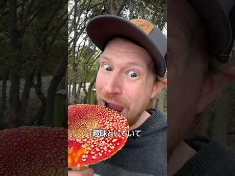キノコ収集家