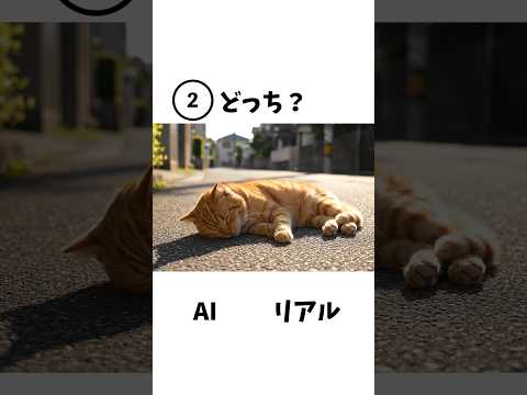 AI動画くらい簡単に見分けられるよね？？ #ai #クイズ