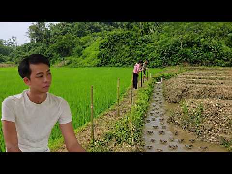 A man came to help Nhat with his crab farming project.