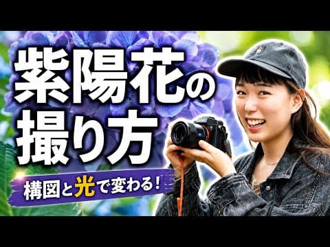紫陽花をもっと綺麗に撮るコツ｜構図・光・レンズ選びをフォトグラファーが解説