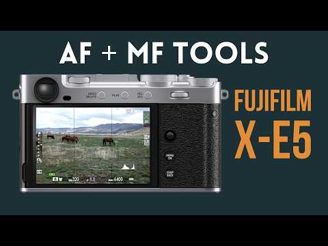 Fujifilm X-E5 Focus Guide: Autofocus &amp; Manual Tools