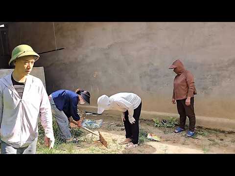 Sinh goes to see his father's lover and searches for the money he had hidden.