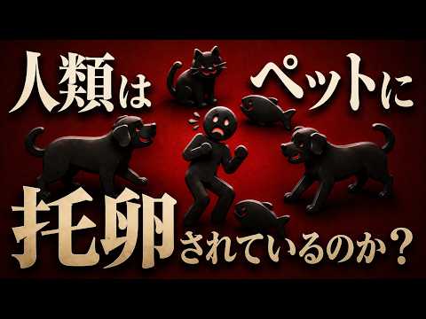 なぜ人類は「役に立たない動物」を愛するのか【進化心理学】